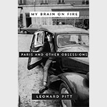 2016 My Brain on Fire Book Cover